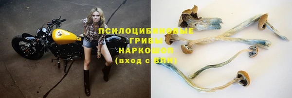 mdpv Верея