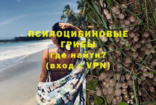 mdpv Верея
