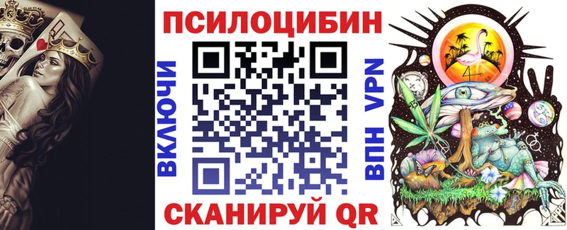 Купить закладки  Подольск  Галлюциногенные грибы Psilocybine cubensis 